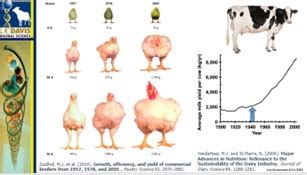 Genome Editing Opportunities In Agriculture Perspectives On Crop And