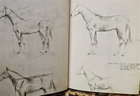 Sandy Scott Art 620 Horse Anatomy Proportion Waypoints And