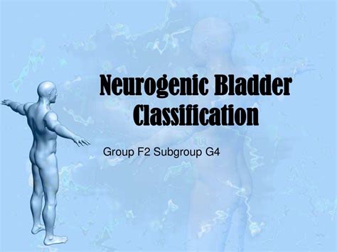 Neurogenic bladder classification