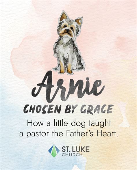 Arnie Adopted By Grace How A Lb Creature Revealed The Heart Of