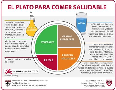 El Plato De Harvard Descubre Cómo Puede Mejorar Tu Alimentación