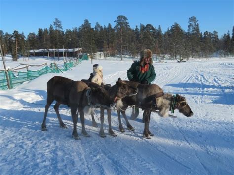 The Best Things To Do In Murmansk The Russian Arctic Backpack Adventures