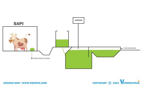 Proses Pembuatan Biogas Dari Kotoran Sapi VETMEDICINAE