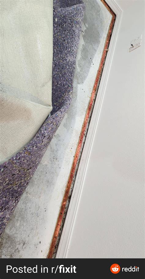 Are carpet and pad salvageable with partial flooding? - Home