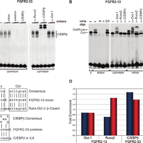 Diagram Of The Fgfr Gene Genetic Linkage Is Taken From Hapmap And The