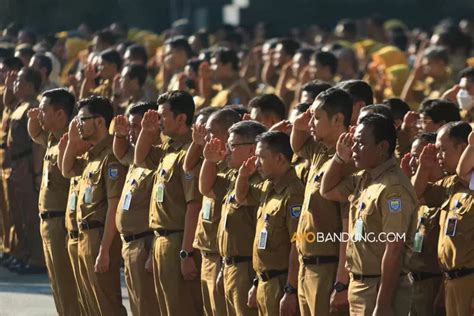 Cpns Sebentar Lagi Dibuka Berikut Info Formasi Cpns Untuk S