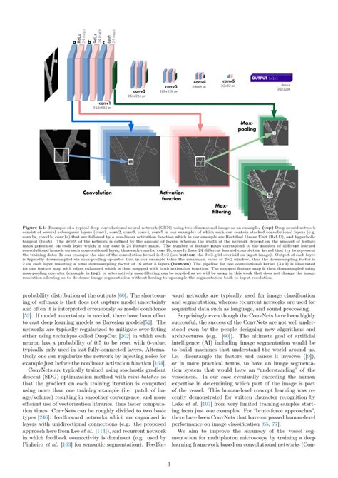 Deep Learning Convolutional Networks For Multiphoton Microscopy