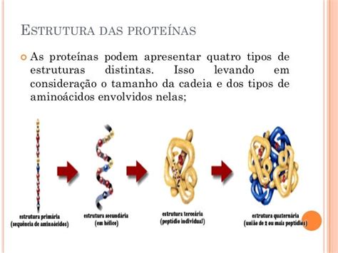 Proteinas