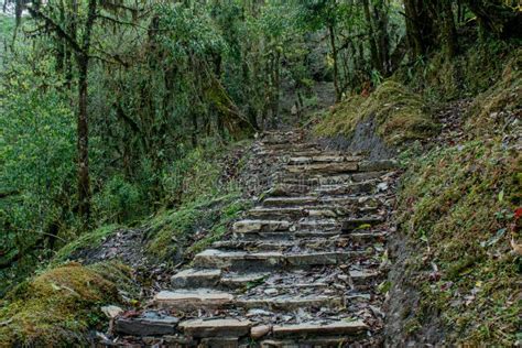Narrow Rocky Trail Made Of Stone Stairs In The Forest Stock Photo