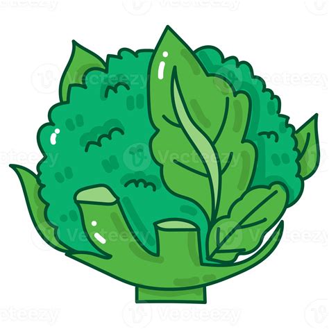 Broccoli Cartoon Doodle 39095822 Png