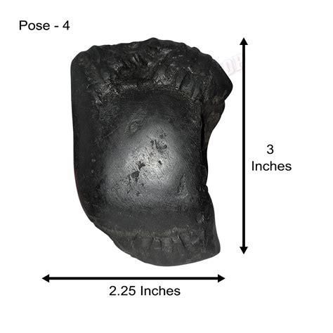Buy Shri Hari Shaligram Stone Shila Online From India