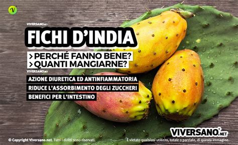 Fico D India Propriet Calorie Valori Nutrizionali E Controindicazioni