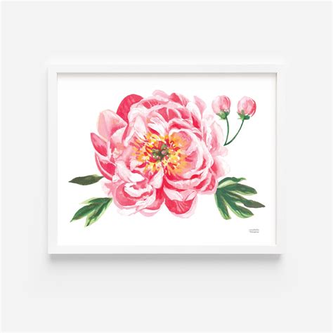 Peony Print Peony Wall Art Peony Artwork Flower Print: - Etsy