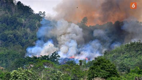 Berita Mitigasi Kebakaran Hutan Hari Ini Kabar Terbaru Terkini