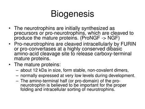 PPT Neurotrophin Signaling Trk Signaling Pathway PowerPoint