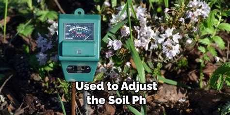 How To Lower Soil Ph In Potted Plants 7 Step Guides 2023