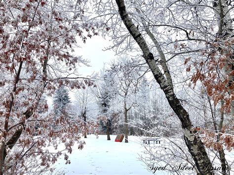 Winter wonderland - Leduc, Alberta : r/alberta