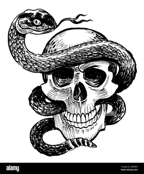 Human Skull And Poisonous Snake Ink Black And White Drawing Stock