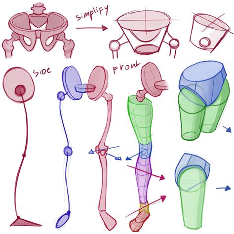 Learning Drawing Principles Legs