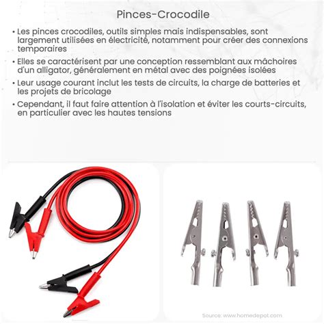 Pinces Crocodile Electricity Magnetism