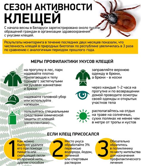 Как защититься от клещей на дачном участке? Советы от помощника врача ...