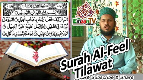 Surah Al Feel Surah Feel Tilawat Quran Pak Tilawa Surah Al Feel