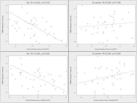 Significant Correlations Between The Cortical Surface Area And Negative