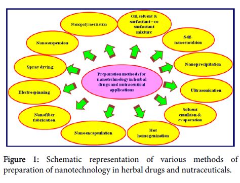 Introduction Of Nanotechnology In Herbal Drugs And Nutraceutical A Review