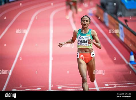 Gudaf Tsegay winning at the Belgrade 2022 World Indoor Championships in the 1500 meters Stock ...