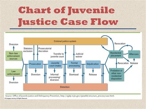 Juvenile Justice System Flow Chart