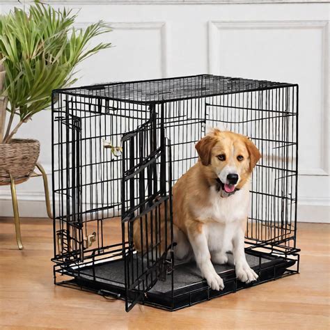 Barking Solutions: How to Soundproof a Dog Crate?