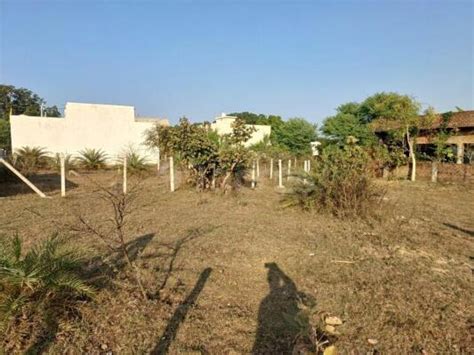 Residential Land Plot For Sale In Neelbad Bhopal Sq Yard