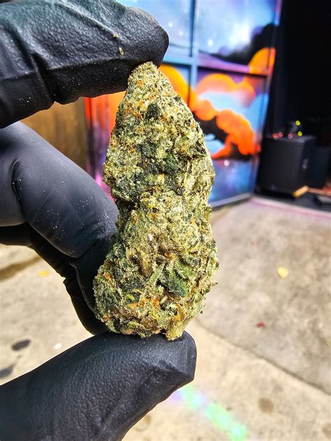 Avondale Apothecary - Birmingham’s First Consumption Lounge – AALLC