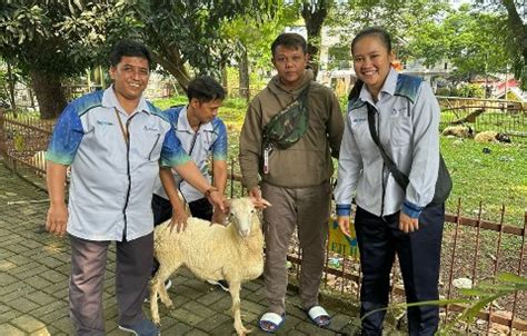 Peringati Idul Adha Jasa Tirta II Salurkan Hewan Kurban Kepada