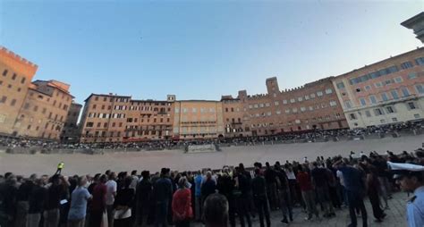 Palio Di Siena Ecco I Cavalli Presentati Alla Tratta Oggi Le