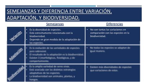 SOLUTION Cuadro Comparativo De Biolog A Studypool 31164 The Best Porn