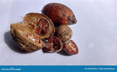 Betel Nut That Is Finished In The Traditional Way Stock Image Image