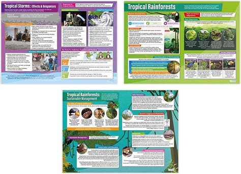 Amazon Tropical Environments Posters Set Of 3 Geography