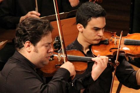 Ensemble De Cordas Da Orquestra De C Mara Da Cidade De Curitiba