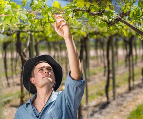 Matias Morcos Argentina Ucopia World Wines