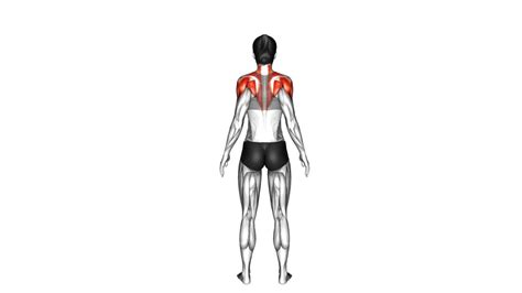 Improve Posture With Standing Scapular Rotation Female Video Guide