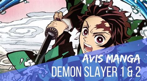 Mise Jour Imagen Avis Manga Demon Slayer Fr Thptnganamst Edu Vn