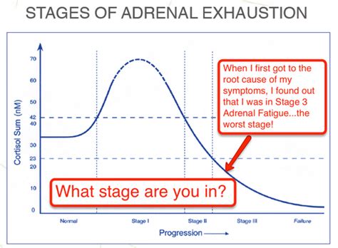 The 4 Stages Of Adrenal Fatigue A Gutsy Girl®