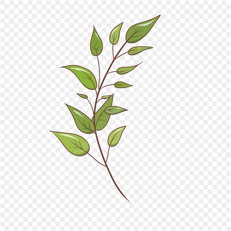 Beautiful Leaf Hd Transparent A Beautiful Green Leaf Illustration