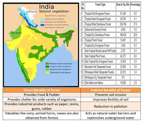 Explain Briefly About The Forest Resources In India With The