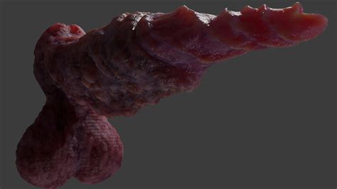 Fantasy Spirax Dildo Rigged 3D Model By TriDsign