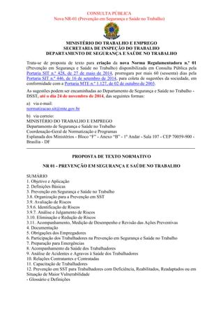 Nova NR 1 Consulta Pública PDF