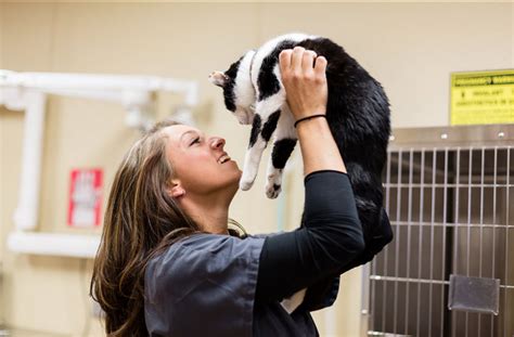 Schedule A Visit Vet Tech Institute