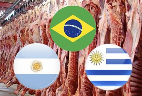 Así arrancaron las exportaciones de carne del Mercosur en 2023