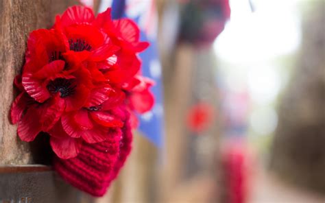 Attend The Anzac Day Dawn Service In Surfers Paradise Oceana On